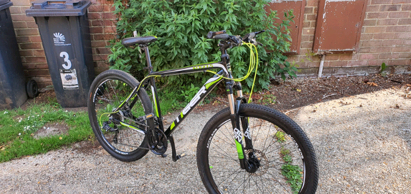 tiger ace 27.5